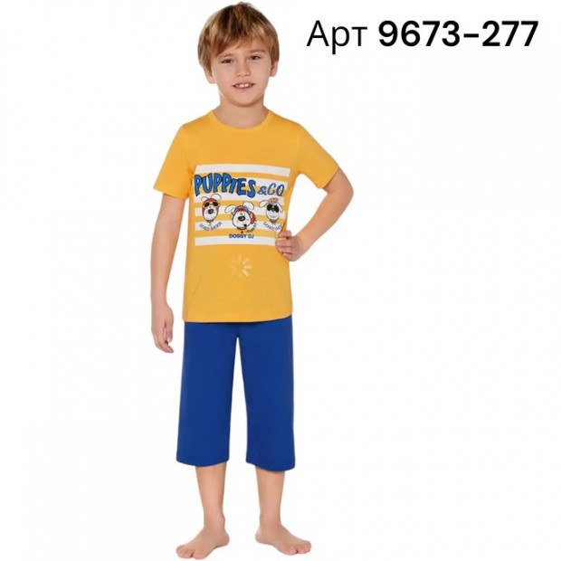 BR Костюм для хлопчика 03-06 (футболка+бриджі)  9673    SARI(277)світло-жовтий  1шт.