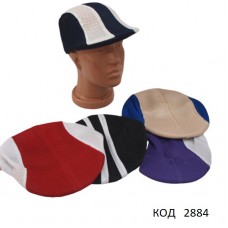 Кепка для хлопчика сітка 10(5) шт