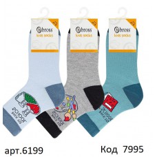 Bross Шкарпетки бавовняні для хлопчика МАЛЮНОК 6199 МІКС  12(3)шт.