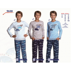 BR Піжама для хлопчика 01-02 стрейч/бавовна  9630    01,02  2 шт.