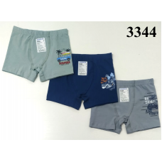 BR Шорти боксери для хлопчика 3344  06   6(3) шт