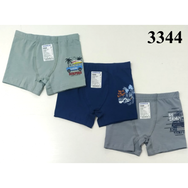 BR Шорти боксери для хлопчика 3344  06   6(3) шт
