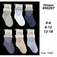 ArtiKatamino Шкарпетки бавовняні для хлопчика ясельні МАЛЮНОК 450207  МІКС  12(3)шт.