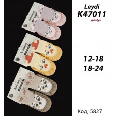 ArtiKatamino Шкарпетки Чешки ясельні К47011/47010  0-6/12-18  6(3) шт.