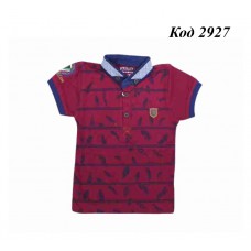 Tr Футболка з коміром  для хлопчика Pepitto 2-5 років   4 шт