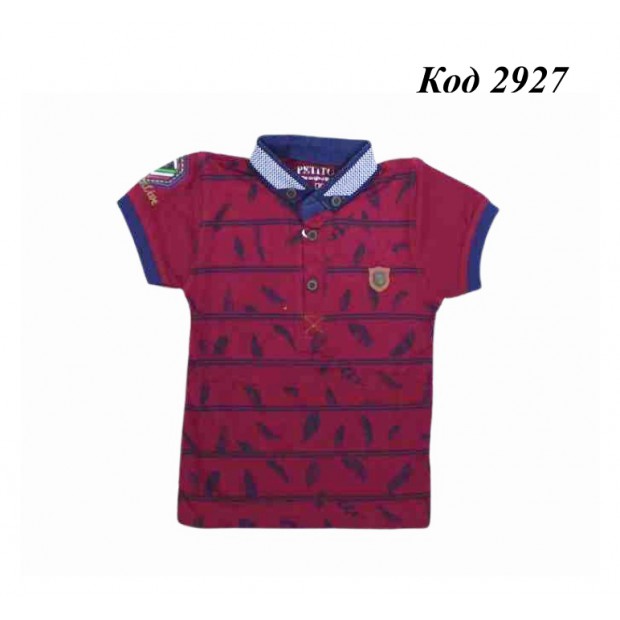 Tr Футболка з коміром  для хлопчика Pepitto 2-5 років   4 шт