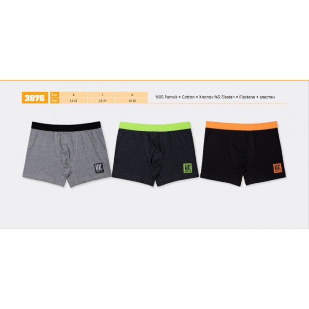 BR Шорти боксери для хлопчика 3976  ПІДЛІТОК  6(3) шт