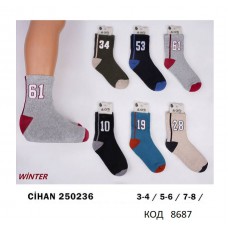 ArtiKatamino Шкарпетки махрові для хлопчика НАДПИС 250236  МІКС   12(3) шт