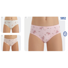 BR  Труси для дівчинки 5952,99    06,07    12(3) шт.