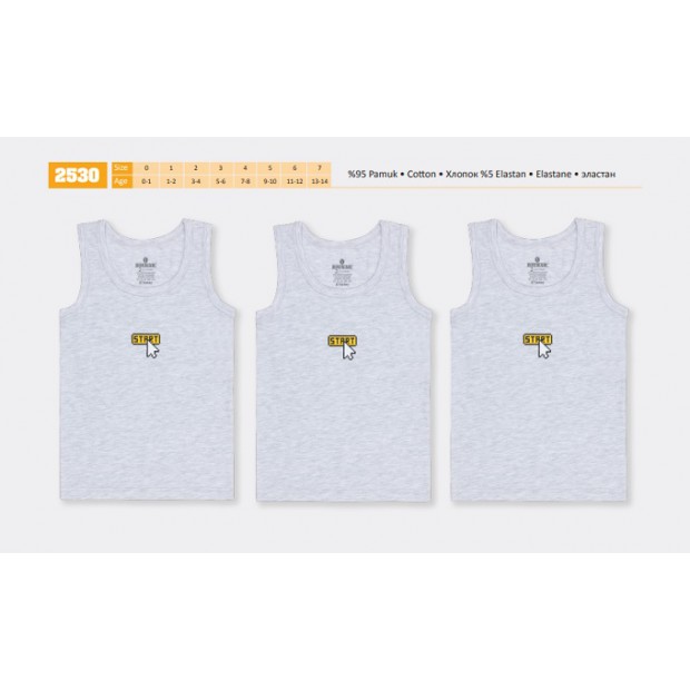 BR Майка для хлопчика 2530  06,07   6(3) шт