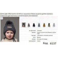 ALex Шапка в'язана синтепон на трикотажі для хлопчика (на зав'язках) ДЕН  D912 42-46   5шт.