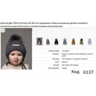 ALex Шапка в'язана синтепон на трикотажі для хлопчика (на зав'язках) ДЕН  D912 42-46   5шт.