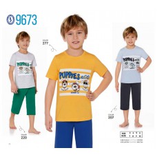 BR Костюм для хлопчика 03-06 (футболка+бриджі)  9673    3-6  4шт.