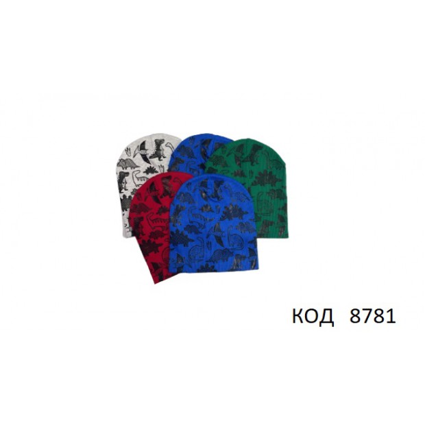 Ukr Шапка для хлопчика РУБЧИК  Динозаври 5 шт