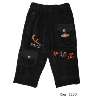 ,Ch Штани для хлопчика ВЕЛЬВЕТ на флісі TopLight 8002    1-4 роки 4 шт.