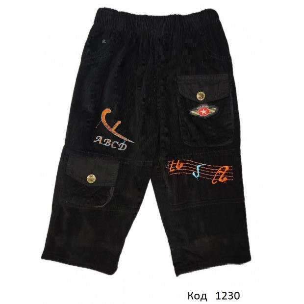 ,Ch Штани для хлопчика ВЕЛЬВЕТ на флісі TopLight 8002    1-4 роки 4 шт.