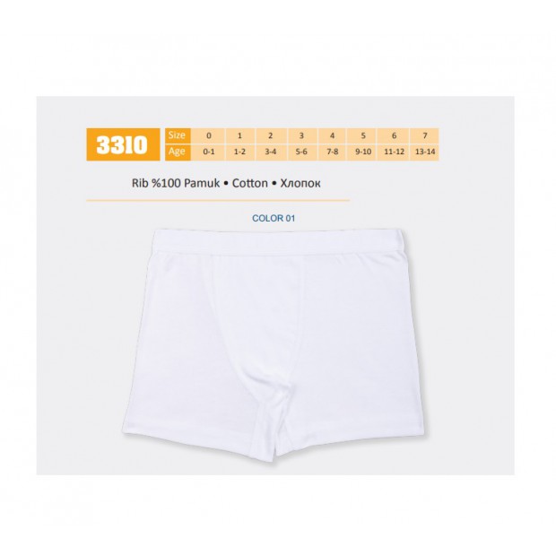 BR Шорти боксери для хлопчика 3310,01 БІЛИЙ  06,07   6(3) шт