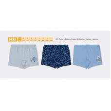 BR Шорти боксери для хлопчика 3422  6(3) шт