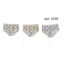 BR Труси для дівчинки   5250/5350 ПТАШКИ  ,99    12(2) шт.