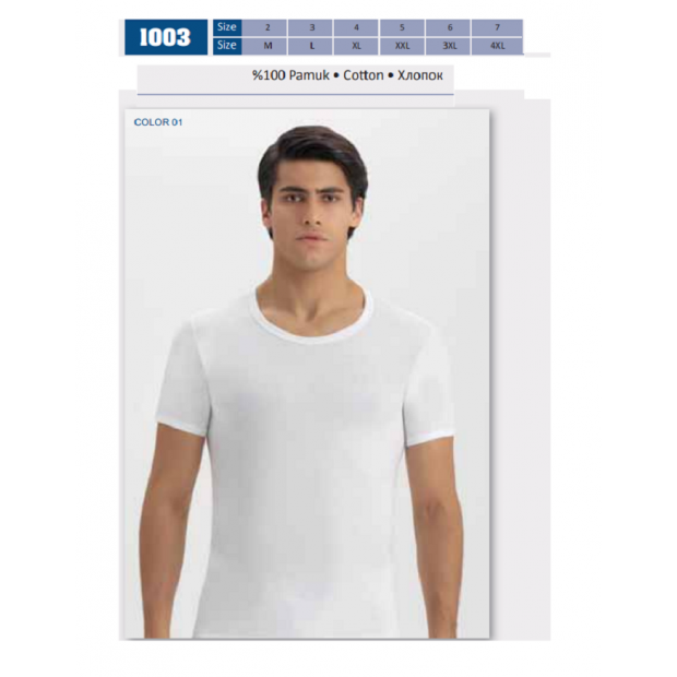 BR Футболка чоловіча 1003.01  БІЛИЙ   6(1) шт.