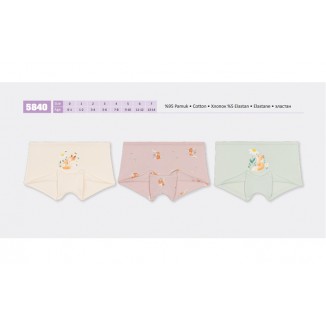 BR Шорти для дівчинки  5840,99    06,07    12(6) шт.