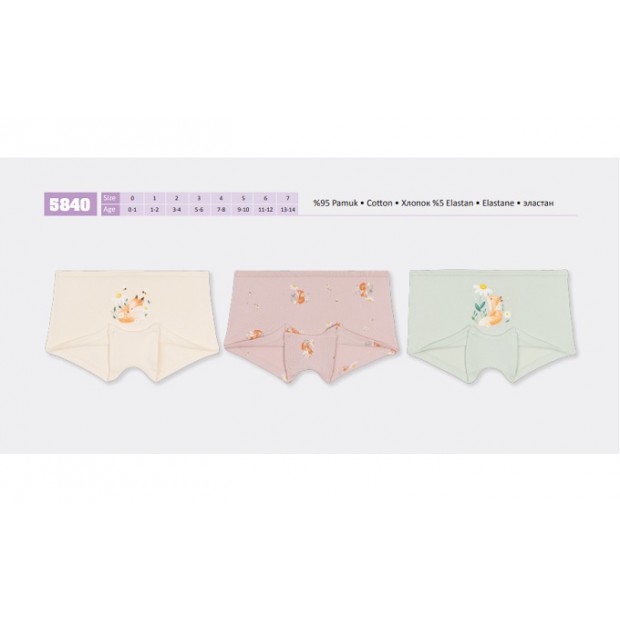 BR Шорти для дівчинки  5840,99    06,07    12(6) шт.