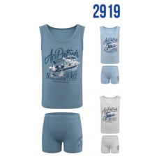 BR Набір білизни для хлопчика(майка+боксери) 2919.    6(3)шт.