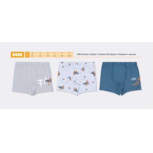 BR Шорти боксери для хлопчика 3426  6(3) шт