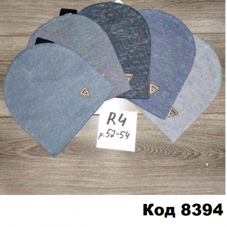 Шапка Анпа мальчик R-04  52-54   5 шт.