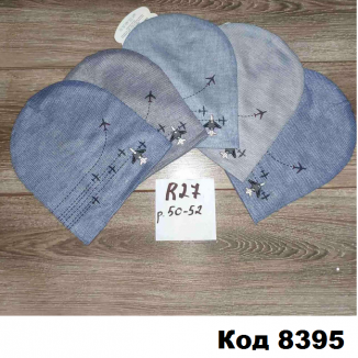 Шапка Анпа мальчик.R-27  50-52  5шт