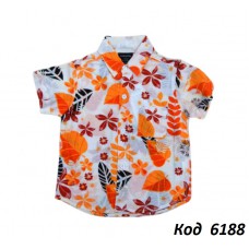 --Ch Сорочка для хлопчика короткий рукав кольорова 110-130(6-8 років)   5(2) шт.