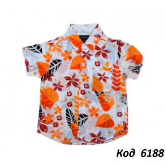 --Ch Сорочка для хлопчика короткий рукав кольорова 110-130(6-8 років)   5(2) шт.