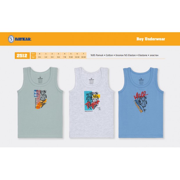 BR Майка для хлопчика 2512  06   6(3) шт
