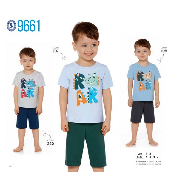 BR Костюм для хлопчика 01-02 (футболка+шорти)  9661    01,02  2шт.