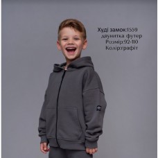 Hart Худі на замку 3-х нитка утепленні 092-110  для хлопчика  1559  4шт.