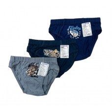 BR Труси для хлопчика 3391      06,07   12(6) шт