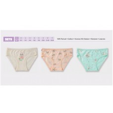 BR Труси для дівчинки  5678,99    06,07  12(6) шт.