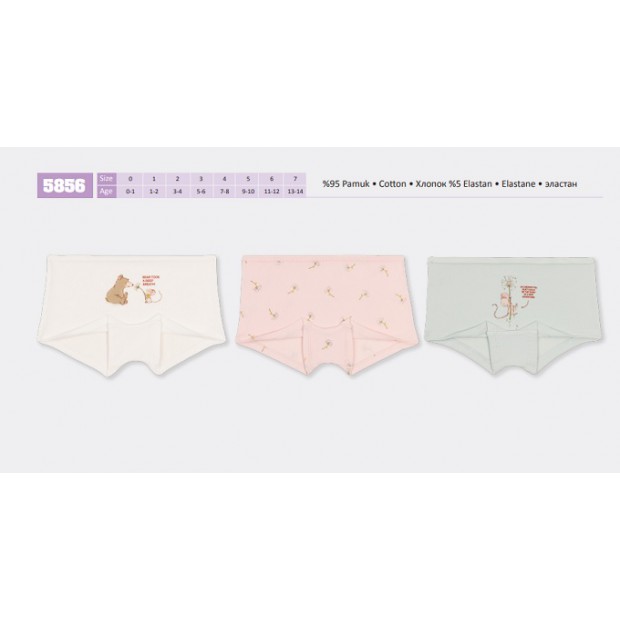 BR Шорти для дівчинки  5856,99    06,07  12(6) шт.