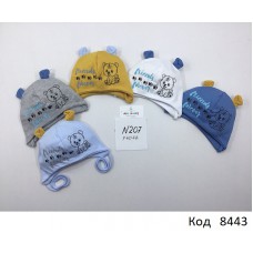 AlaBabyШапка трикотажна для хлопчика (на зав'язках) W-207 40-42  5 шт.