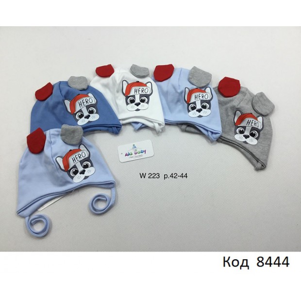 AlaBabyШапка трикотажна для хлопчика (на зав'язках) W-223 42-44  5 шт.