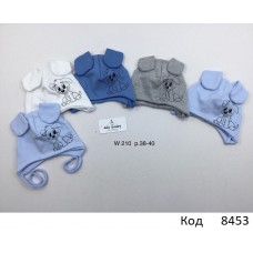 AlaBabyШапка трикотажна для хлопчика (на зав'язках) W-210  38-40  5 шт.