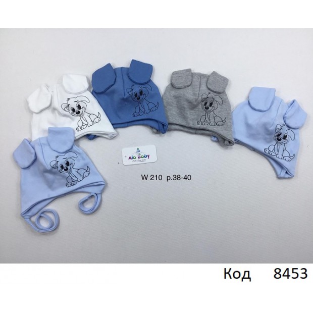 AlaBabyШапка трикотажна для хлопчика (на зав'язках) W-210  38-40  5 шт.