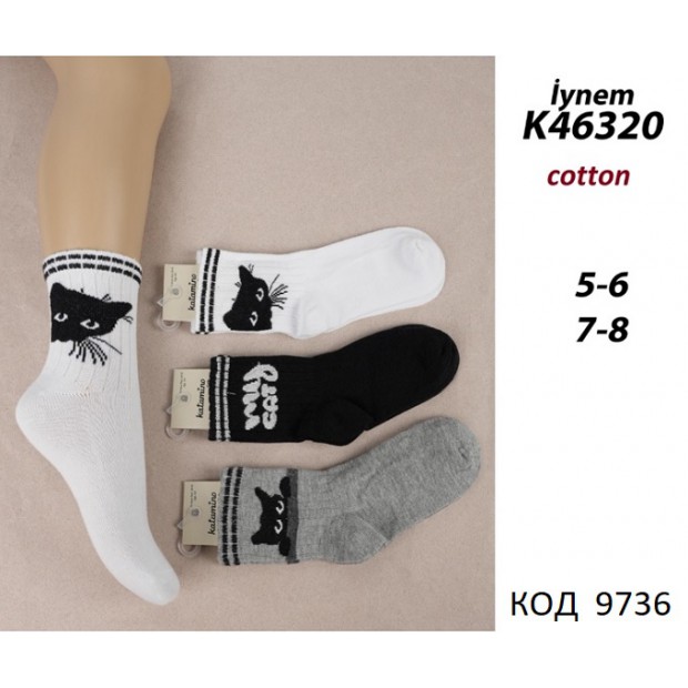 ArtiKatamino Шкарпетки бавовняні для дівчинки МАЛЮНОК К46320 МІКС кольорів Котики 12(3) шт.