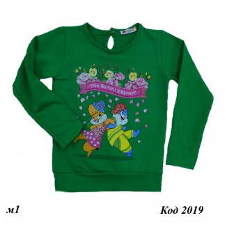 Tr Реглан для дівчинки 2-х нитка BNN 4769  116-134   4 шт