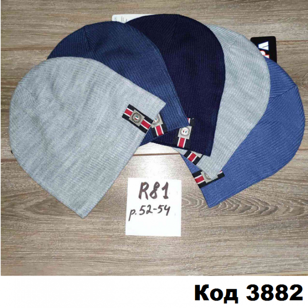 Шапка Анпа мальчик R-81  52-54   5 шт.