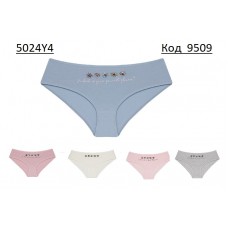 Труси для дівчинки Donella підліток 5024Y4 10 (5) шт.