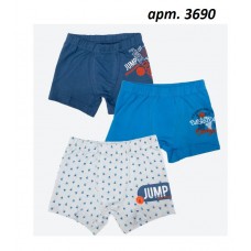 BR  Шорти боксери для хлопчика 3690  6(3) шт