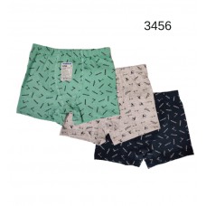 BR  Шорти боксери для хлопчика 3456  06,07  6(3)шт