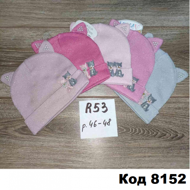 Шапка Анпа девочка.R-53  46-48   5 шт.