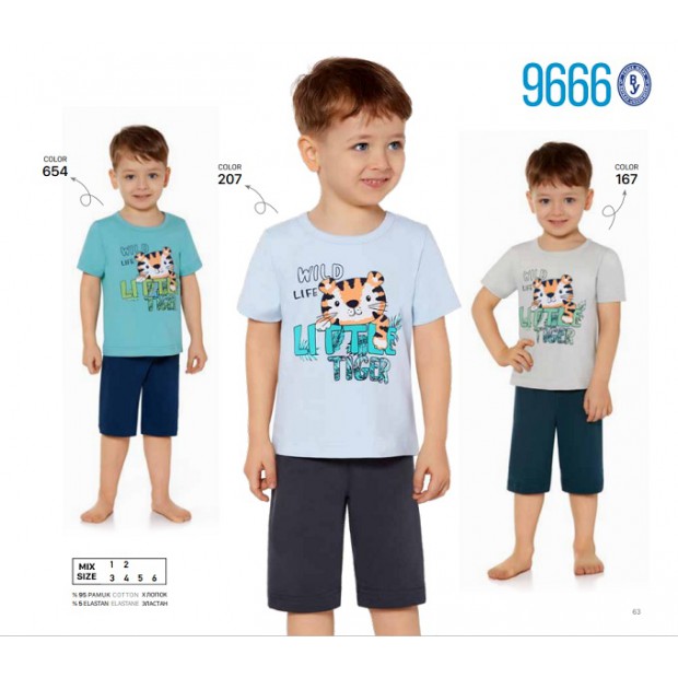 BR Костюм для хлопчика 01-02 (футболка+шорти)  9666    01,02  2шт.
